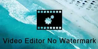 No Watermark Editing